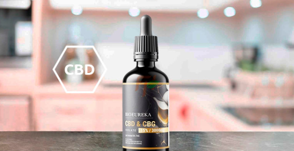 1742374482941.png 1742374482941.png