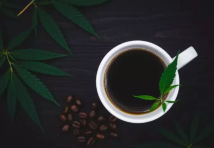 1742560911328.png 1742560911328.png