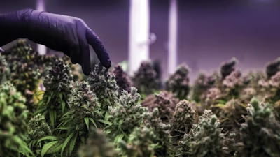 1742917932497.png 1742917932497.png