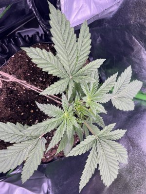 IMG_6192.jpeg IMG_6192.jpeg