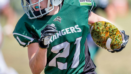 1743429683903.png 1743429683903.png