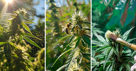 1743581279865.png 1743581279865.png