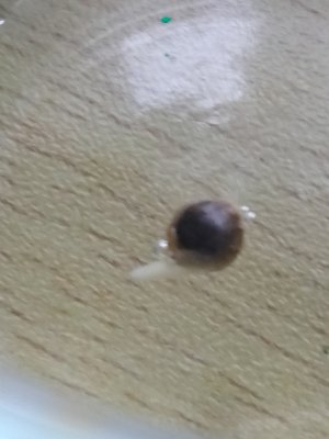 третий день.jpg