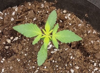 20250410_130449.jpg 20250410_130449.jpg