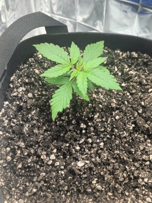 photo_2025-04-10_10-19-41 (2).jpg