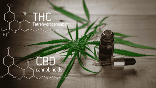 1744470178815.png 1744470178815.png