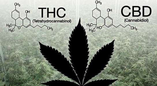 1744470213647.png 1744470213647.png