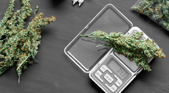 1744470242431.png 1744470242431.png