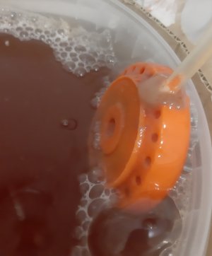 20250415_125539.jpg 20250415_125539.jpg