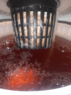 20250415_125527.jpg 20250415_125527.jpg