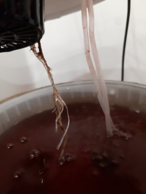 20250415_125754.jpg 20250415_125754.jpg