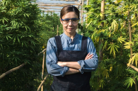 1744915174665.png 1744915174665.png