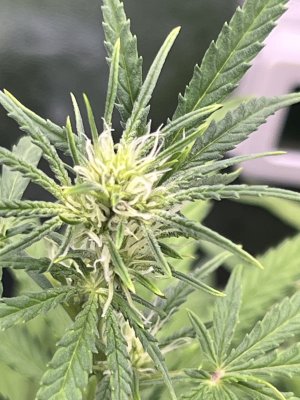 IMG_6621.jpeg IMG_6621.jpeg