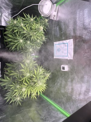 IMG_6715.jpeg IMG_6715.jpeg