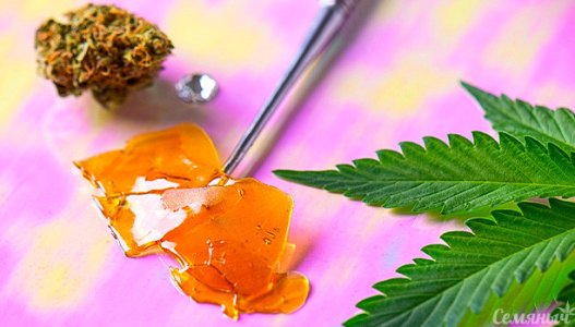 1745935537279.png 1745935537279.png