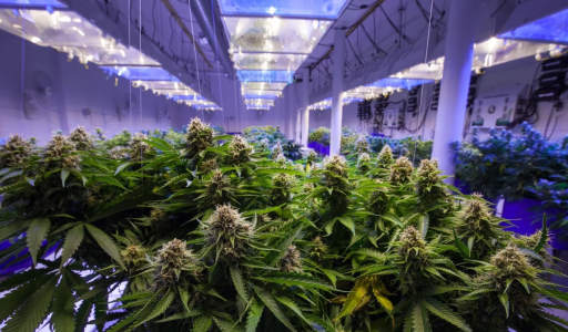 Снимок экрана 2025-04-30 153416.png Снимок экрана 2025-04-30 153416.png