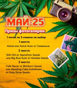 photo_2025-03-26_19-49-19.jpg photo_2025-03-26_19-49-19.jpg