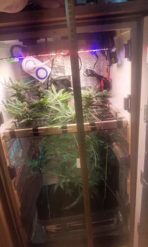 P50508-145722(1).jpg P50508-145722(1).jpg