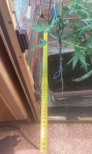 P50508-145733(1).jpg P50508-145733(1).jpg