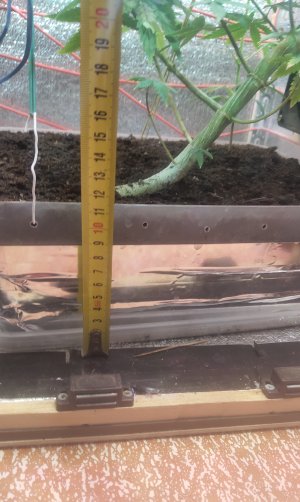 P50508-145859(1).jpg P50508-145859(1).jpg