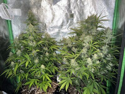 IMG_6854.jpeg IMG_6854.jpeg