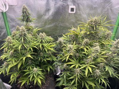 IMG_6857.jpeg IMG_6857.jpeg