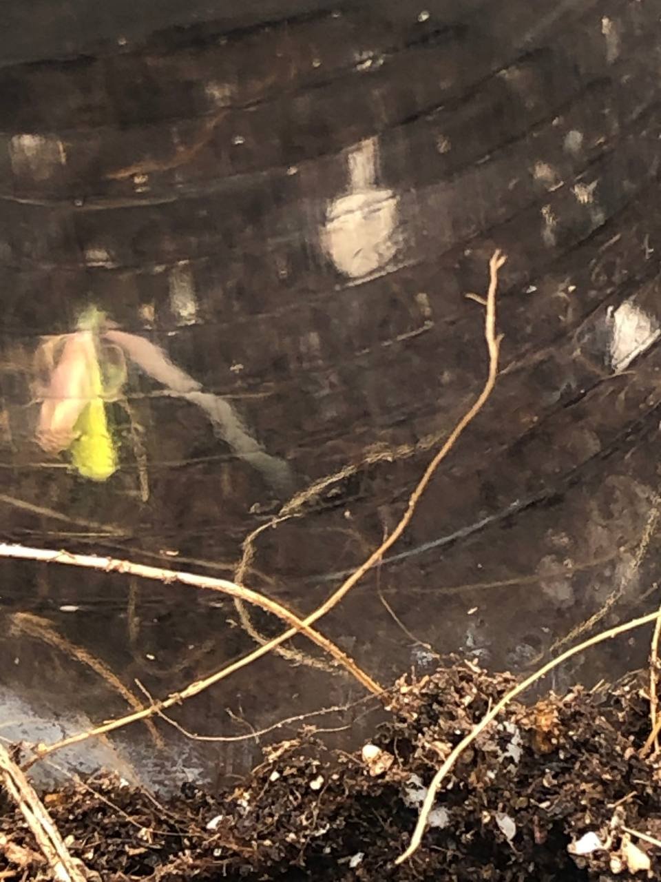 подозрения.jpg подозрения.jpg