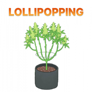 Lollipopping.png