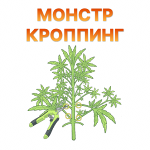 Monstr kropping.png Monstr kropping.png