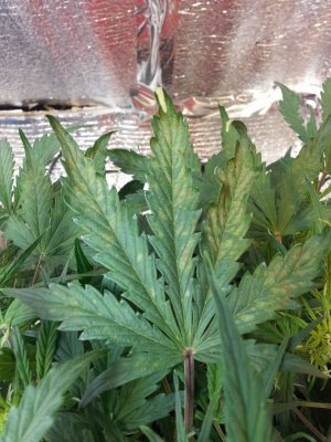 20220411_092642.jpg 20220411_092642.jpg