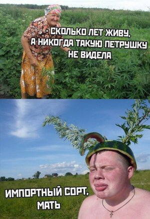 13812406.jpg 13812406.jpg