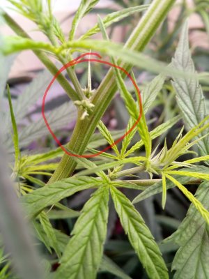 1649836626402_IMG_20220413_104334_383.jpg 1649836626402_IMG_20220413_104334_383.jpg