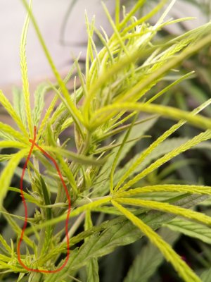 IMG_20220413_104315_085.jpg IMG_20220413_104315_085.jpg