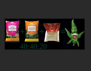 _owsg74u-Ic.jpg _owsg74u-Ic.jpg