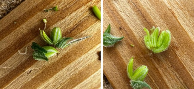 16.04- 17.04.jpg 16.04- 17.04.jpg