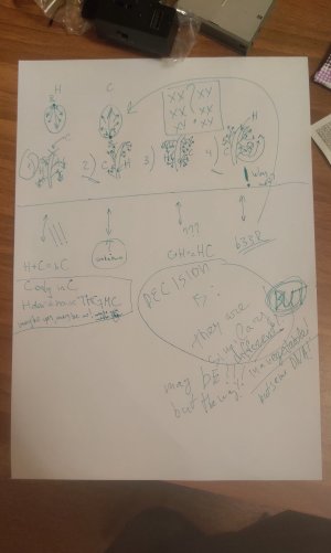 P50503-214212(1).jpg P50503-214212(1).jpg