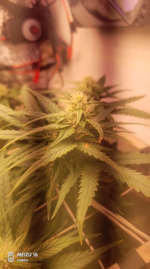 2025-05-11 140642.jpg 2025-05-11 140642.jpg