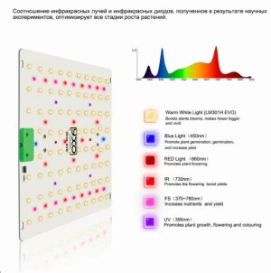 S50511-14564336.jpg S50511-14564336.jpg