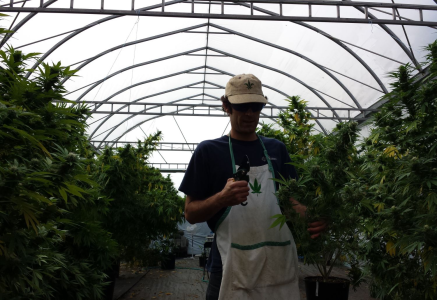 1747225771189.png 1747225771189.png