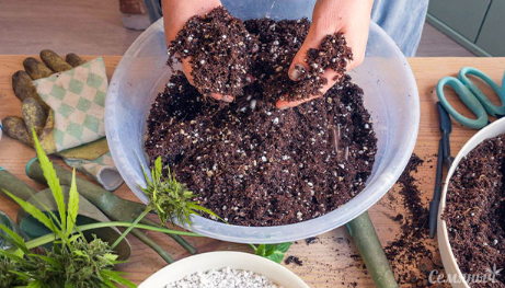 1747394872459.png 1747394872459.png