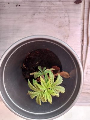 WhatsApp Image 2025-05-17 at 10.51.20.jpeg