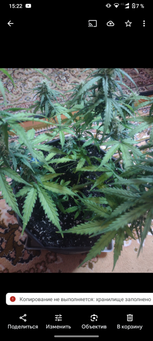 Screenshot_20250518-152251.png Screenshot_20250518-152251.png