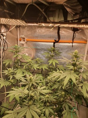 20250523_204809.jpg 20250523_204809.jpg