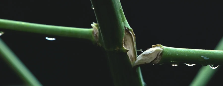 1748202797689.png 1748202797689.png