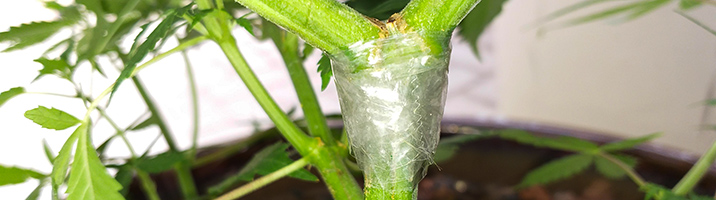 1748270197522.png 1748270197522.png