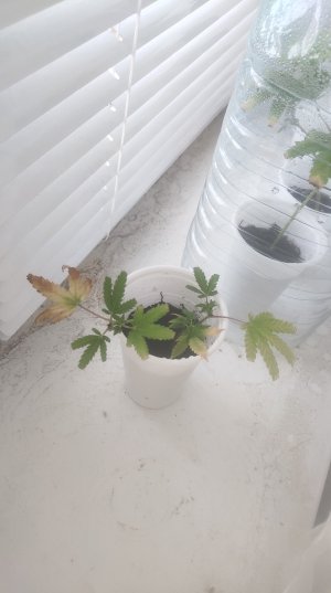 P50529-065519 (1).jpg