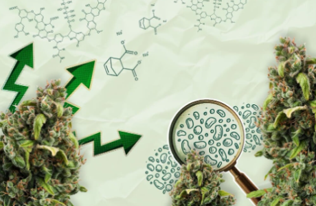 1748603580448.png 1748603580448.png