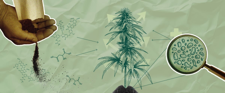 1748603604406.png 1748603604406.png