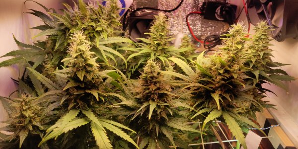 P50530-194909 (1).jpg