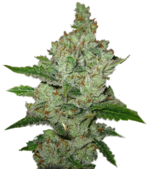 1748708330449.png 1748708330449.png